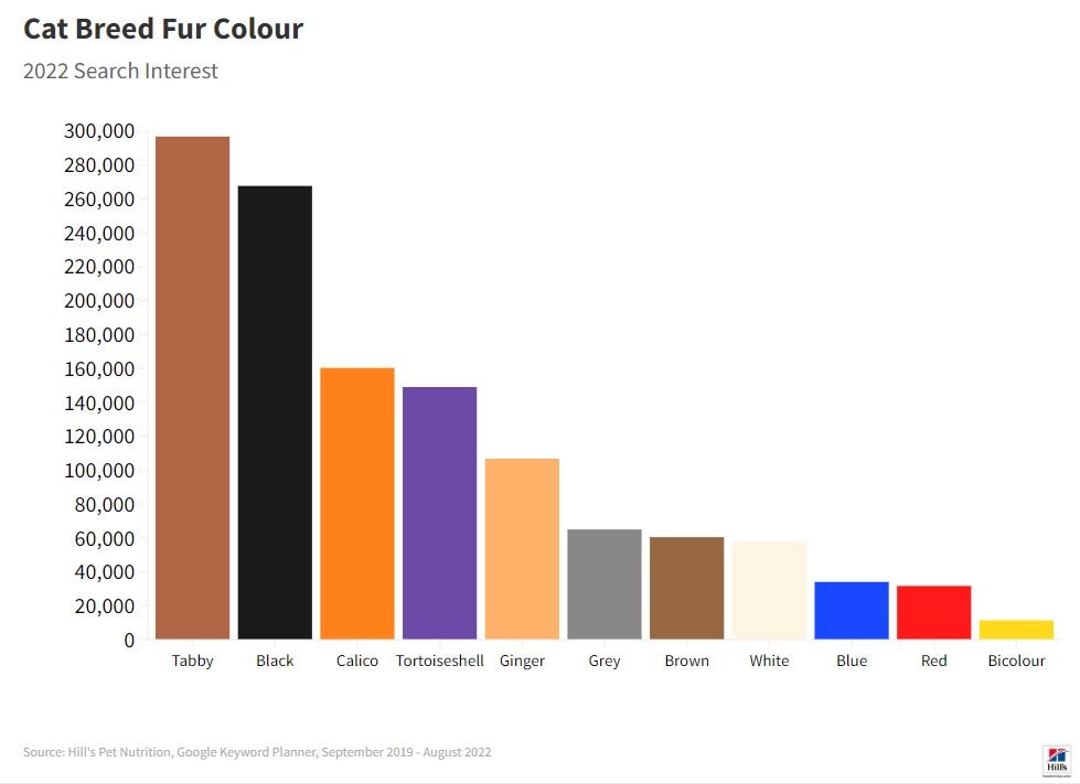 Popular Cat fur colour