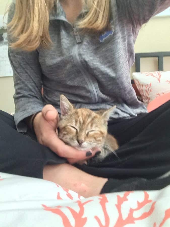 Kat sits in the lap of a girl.