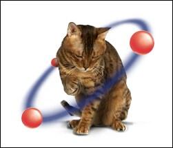Cat Proteins