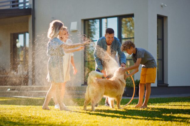 Family playing with dog outside