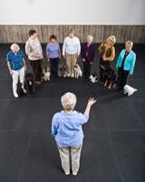 Training classes