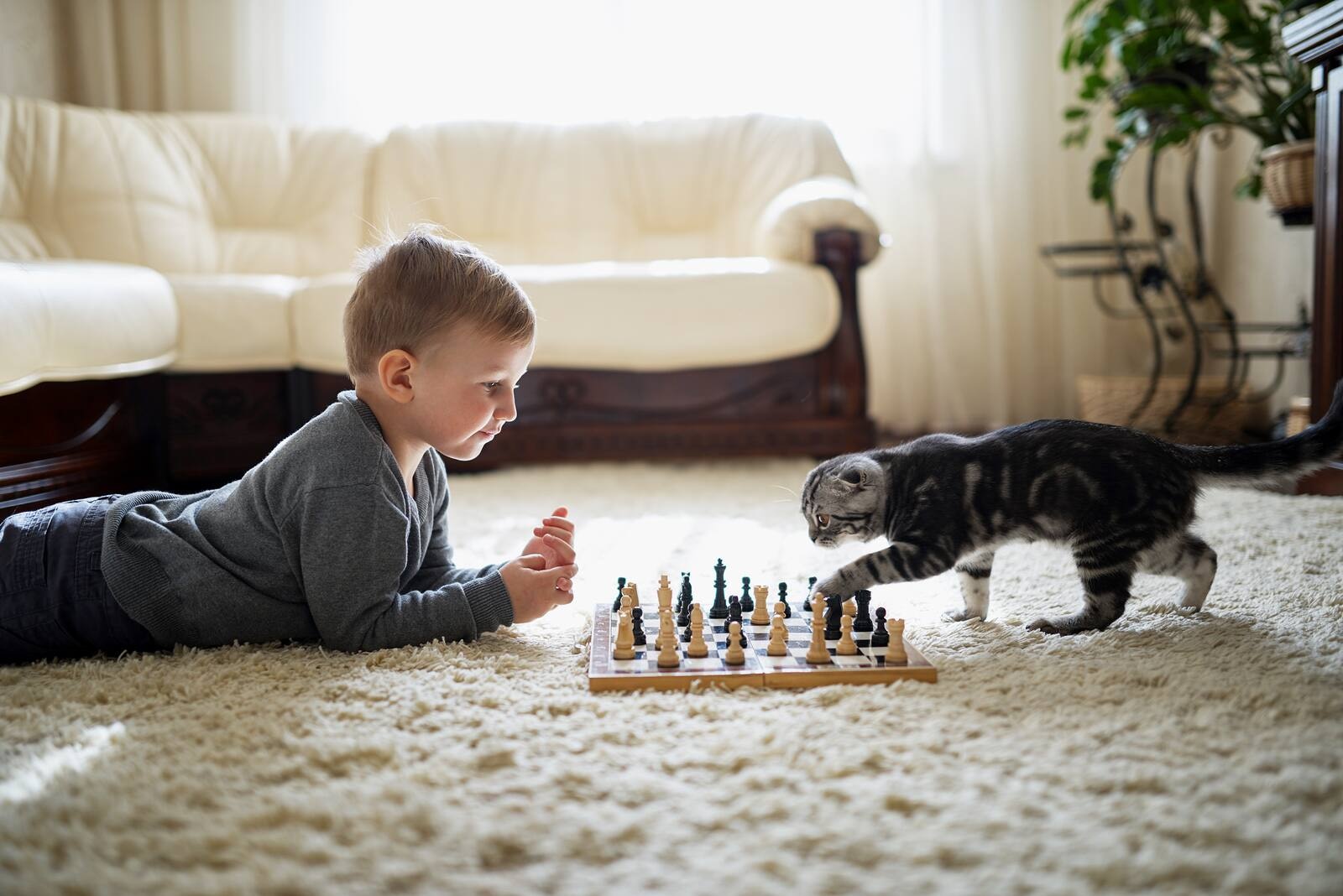 Little boy lies on the ground with a chess board, while a tabby cat paws at one of the pieces.