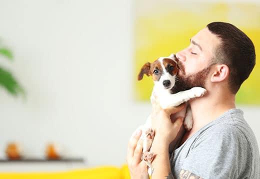 Man with a beard kisses a Jack Russell terrier puppy that he is holding in his arms.