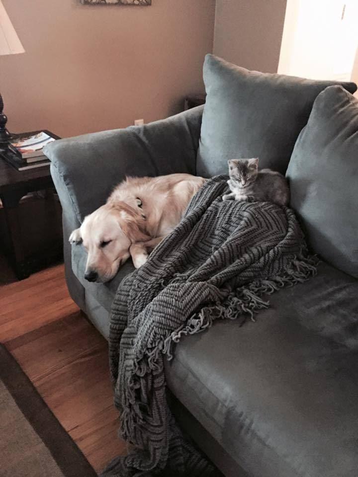 Molly and Hope