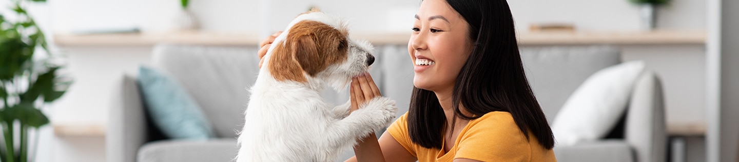 dog and pet owner top banner