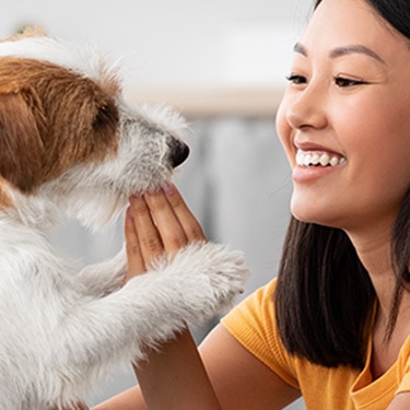 dog and pet owner top banner