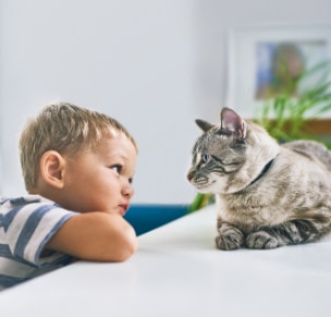 A young boy playing a kitten