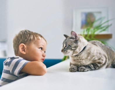 A young boy playing a kitten