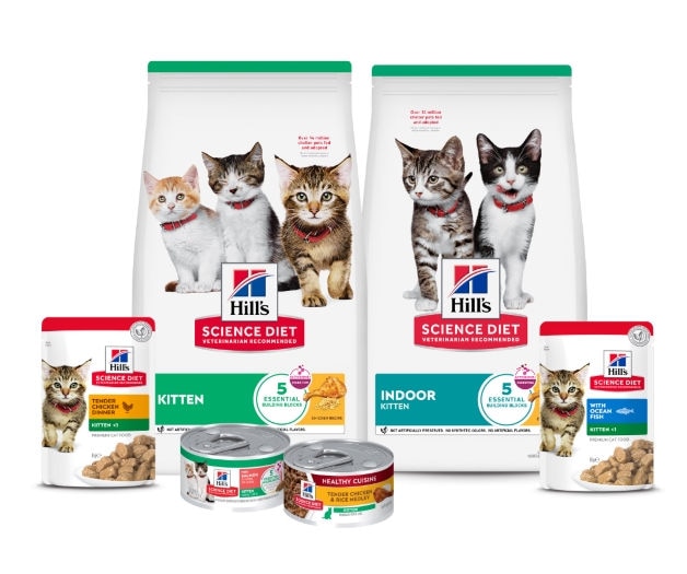 Science Diet Dry Kitten Food Bags