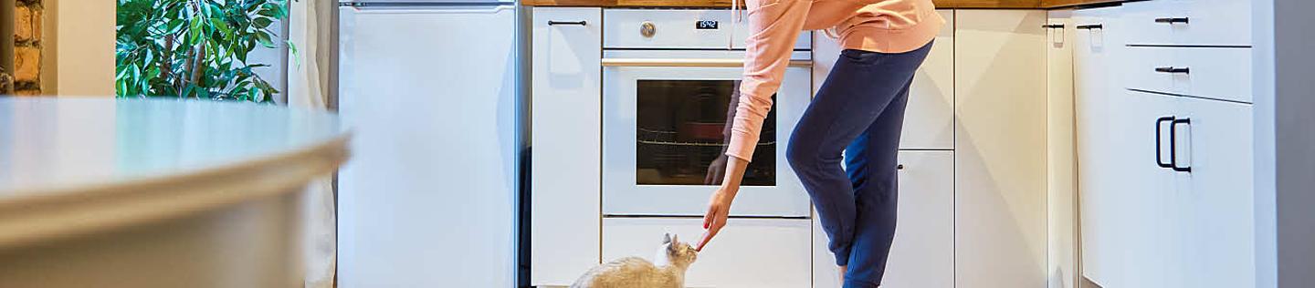 A curious cat licking peanut butter off a spoon in the kitchen with its owner
