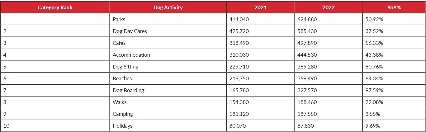 10 things to do with your dog