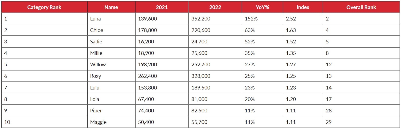 Top Trending female Dog Names
