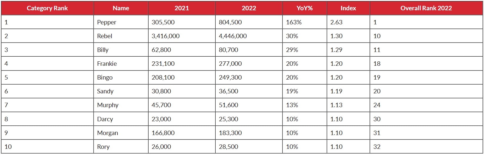 Top Trending neutral Dog Names