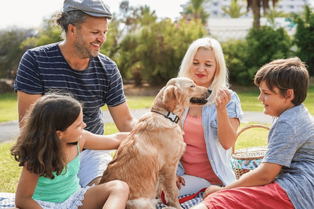 dog playing with family outside their house