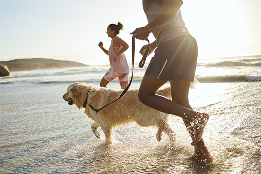 An active couple running with their dog on the beach for daily exercise.