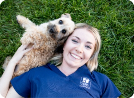 A dog lying in the grass with a vet professional