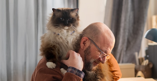 A man with glasses and a beard, looking down, with a fluffy cat perched on his shoulder.