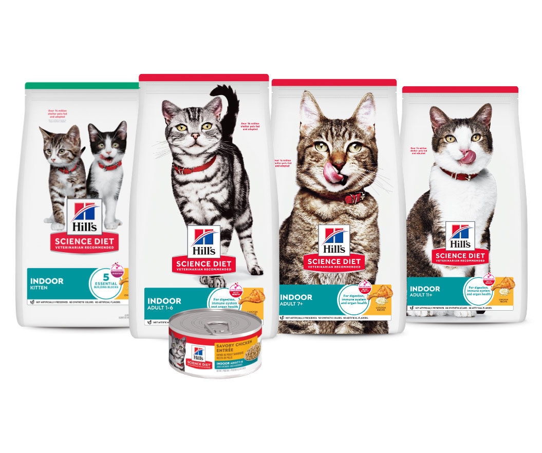 Science Diet Indoor cat foods