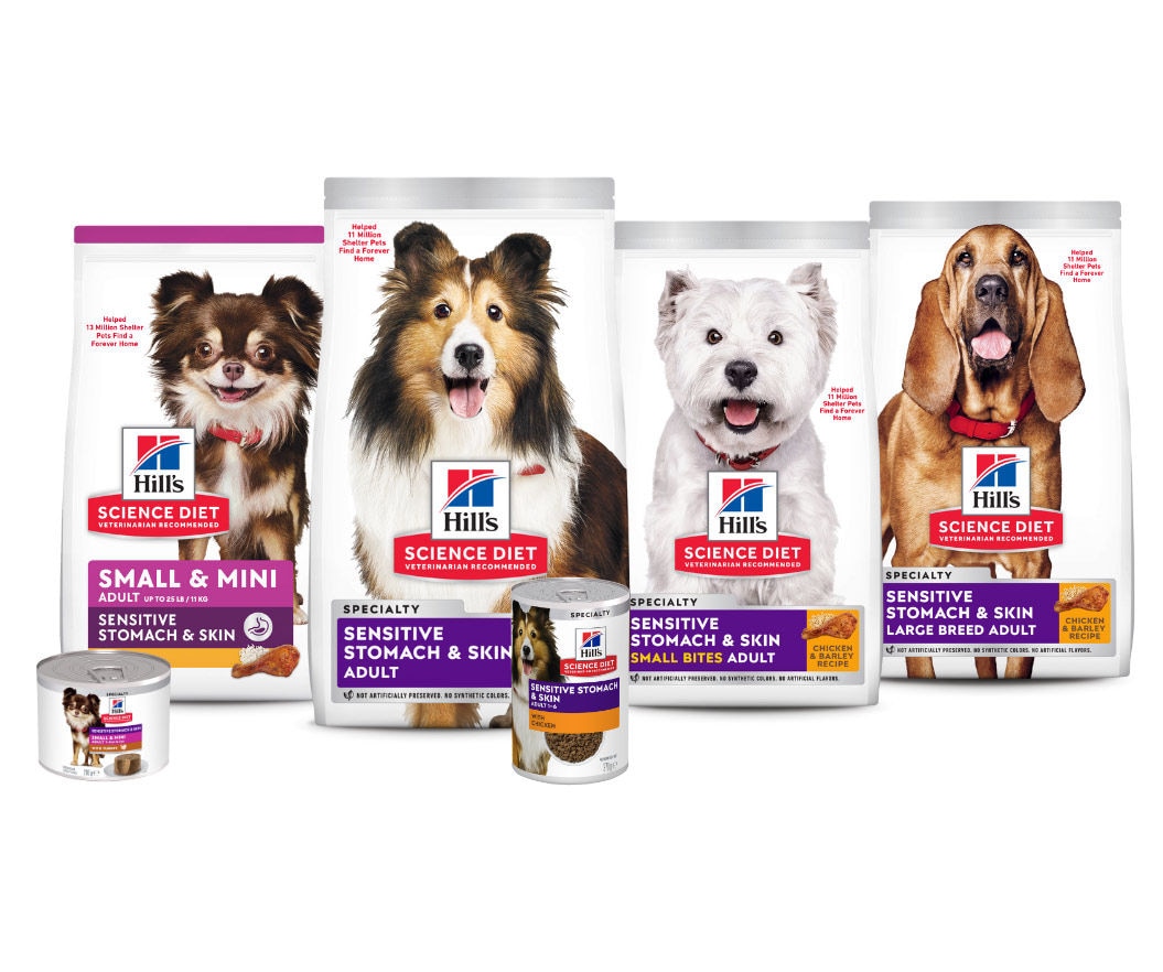 Digestive health dog foods