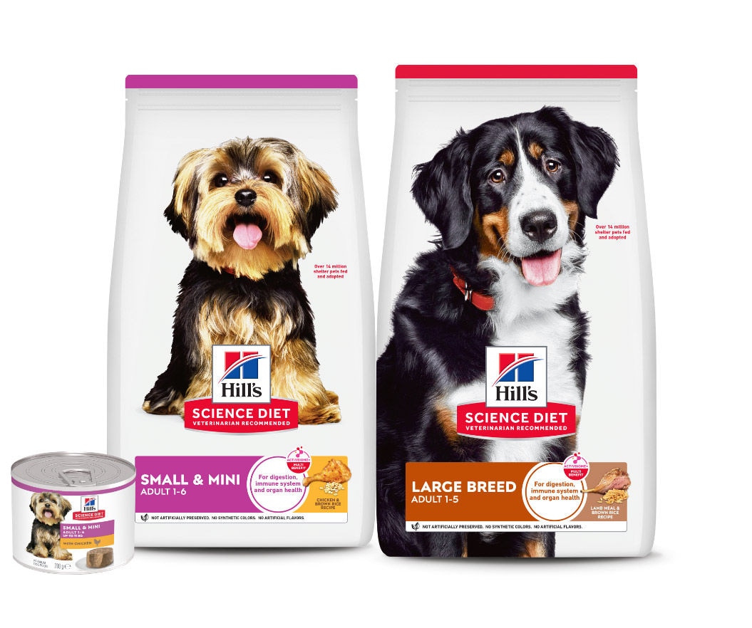Science Diet for small and large breed 