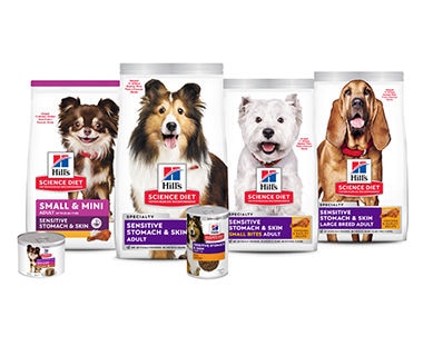 Digestive health dog foods