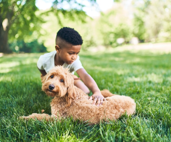 dog and boy 