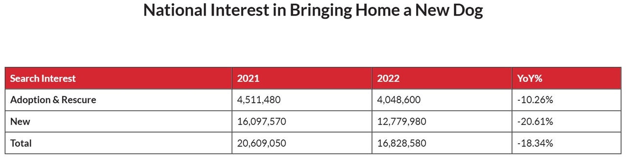 National interest in bringing home a new dog