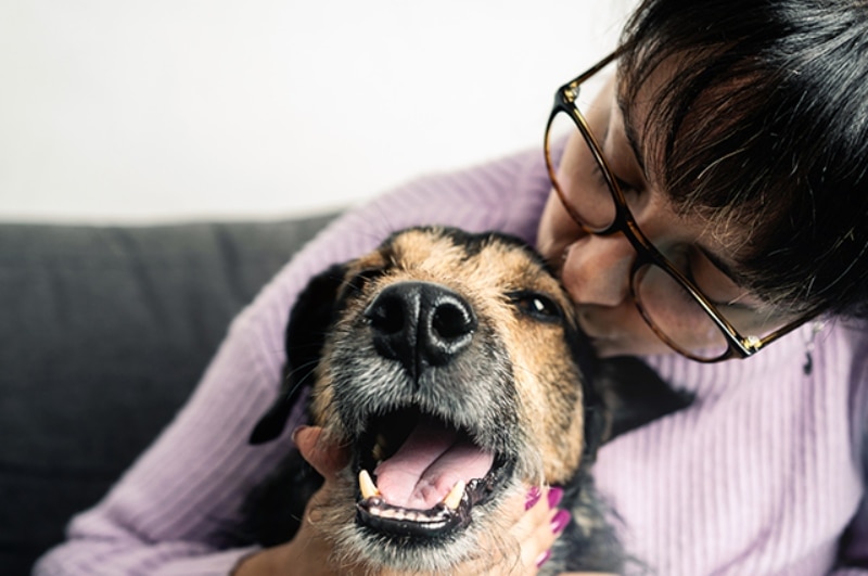 dog in owners arms